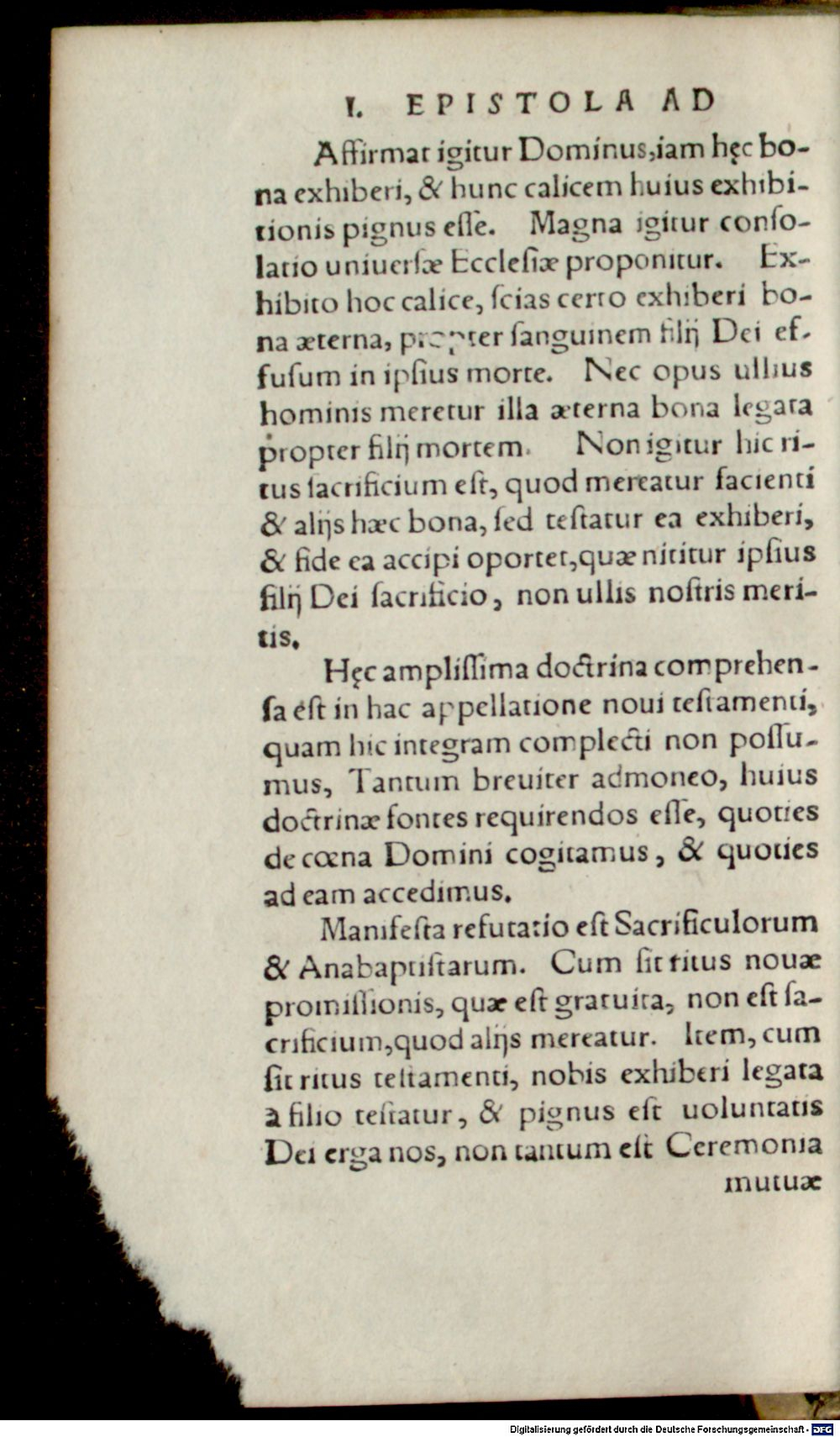 Image