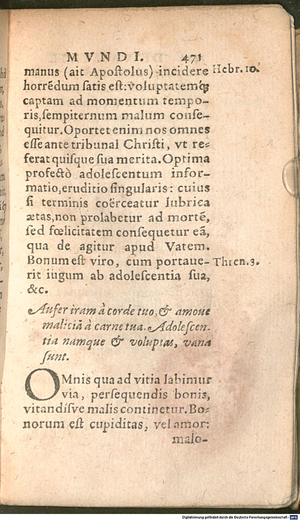 Image