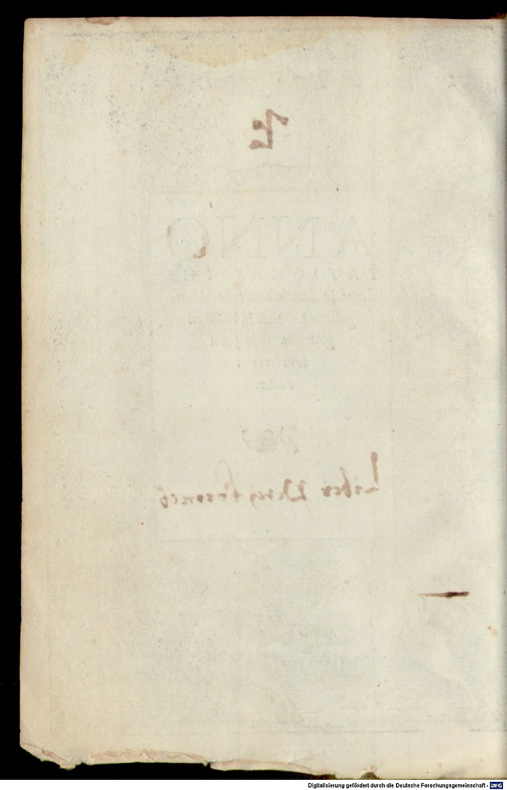 Image