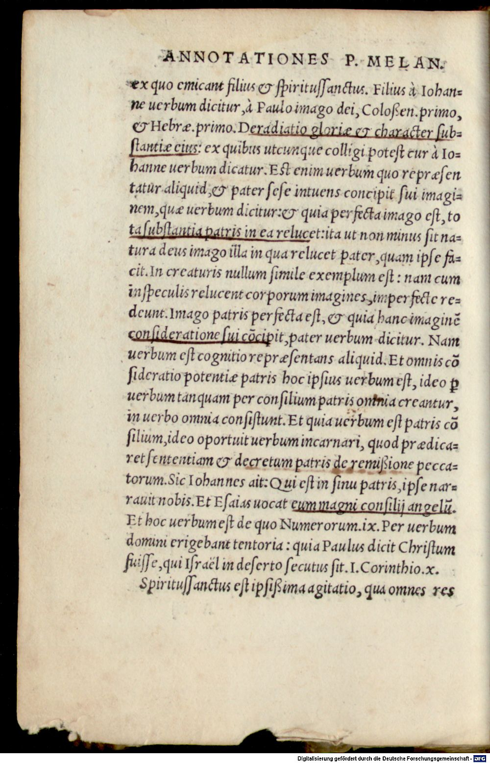 Image