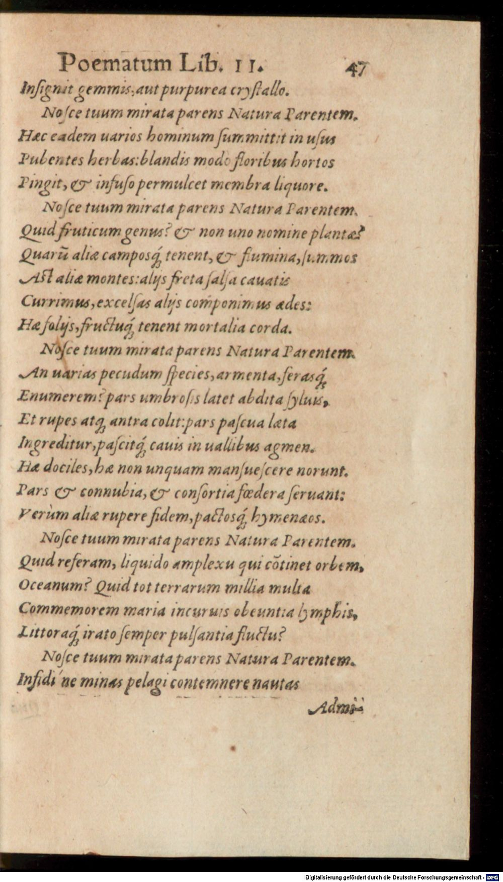 Image