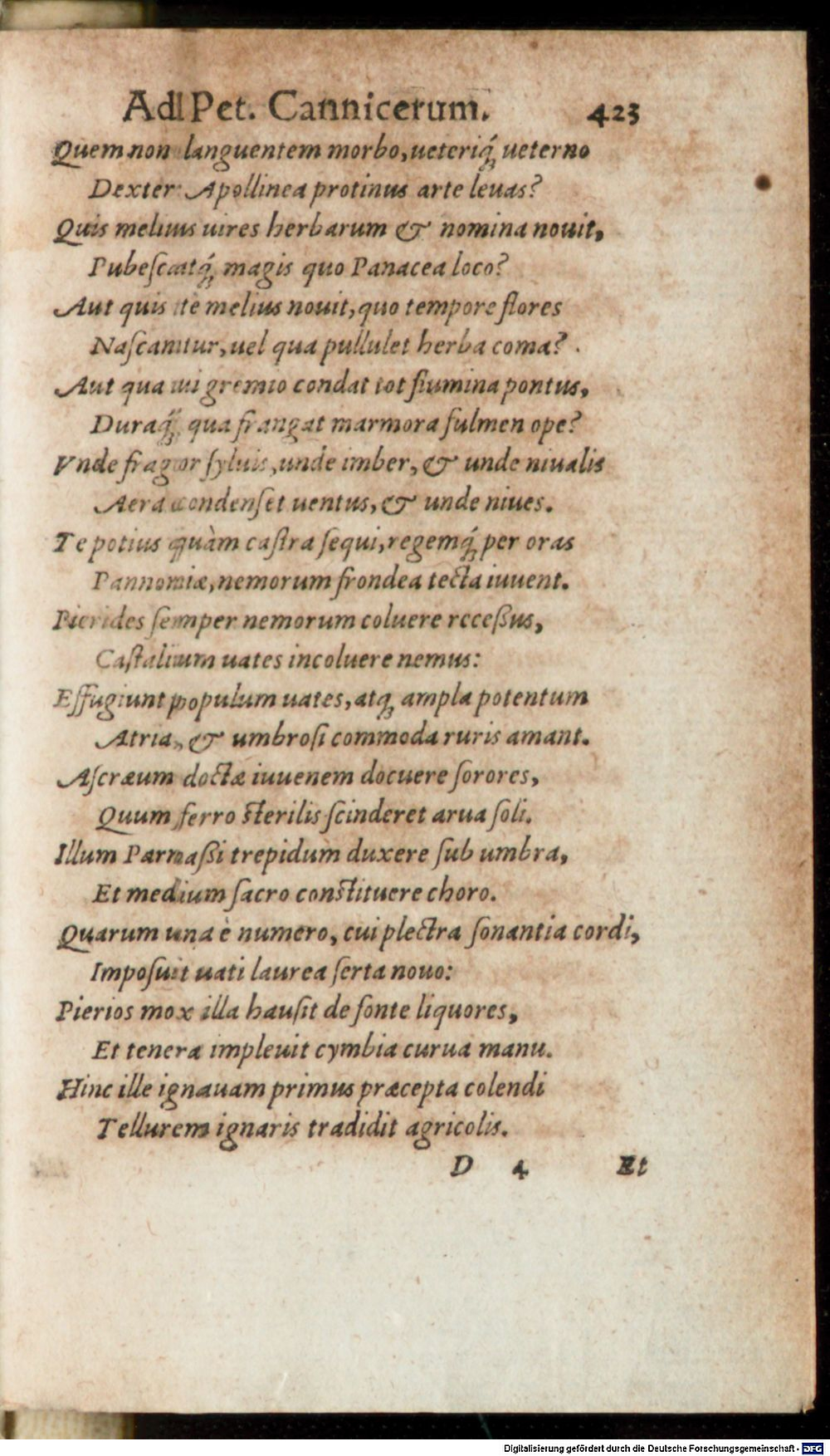 Image