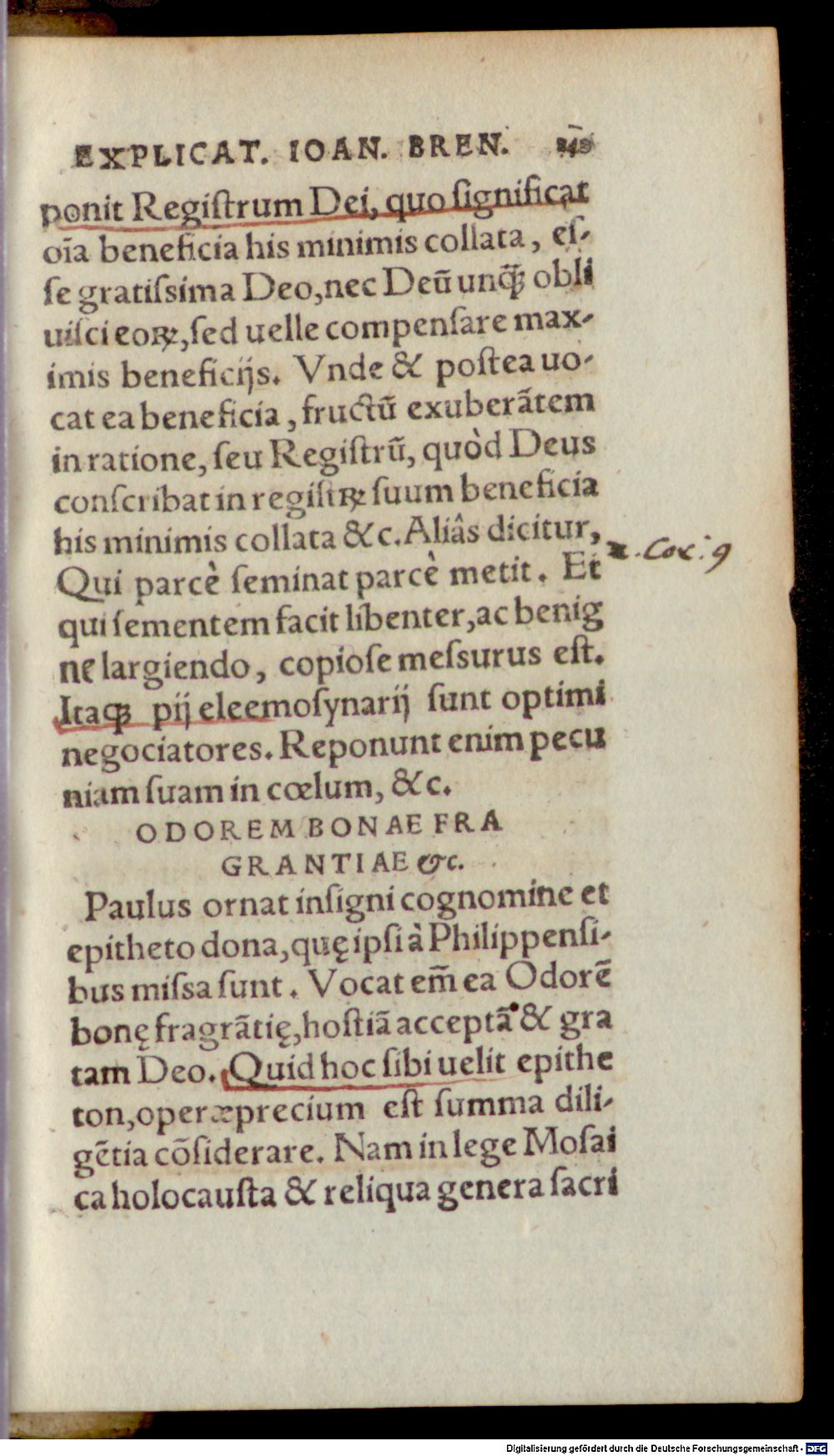 Image