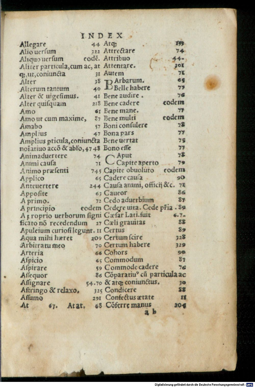 Image