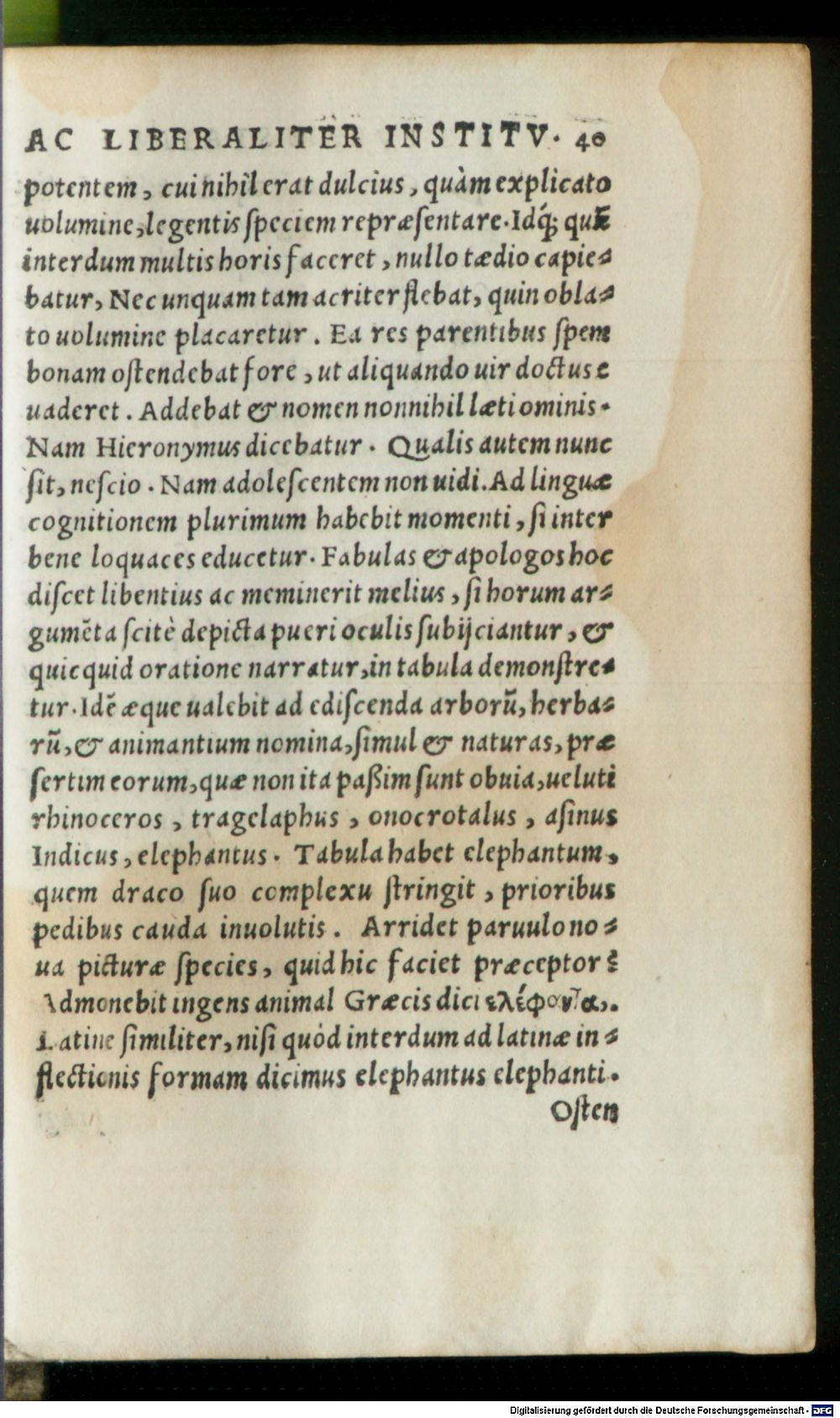 Image