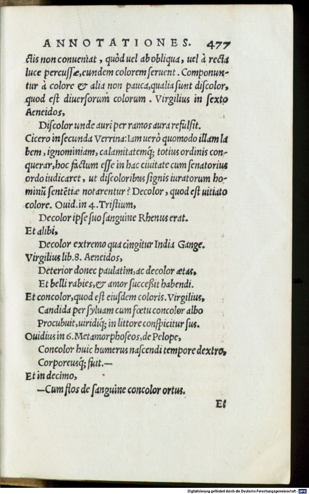 Image