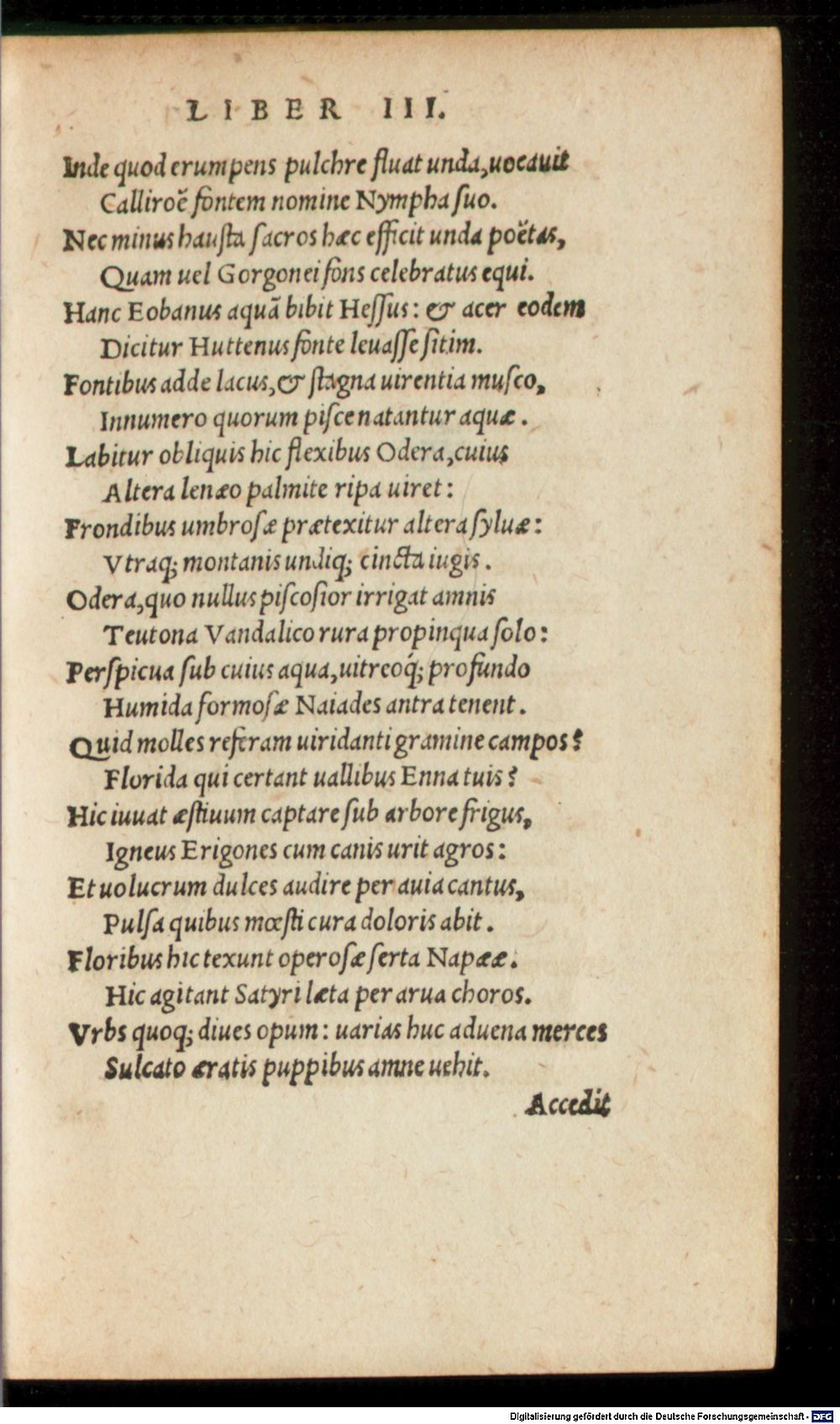 Image