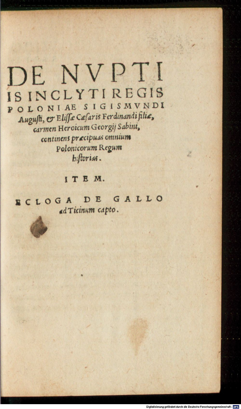 Image