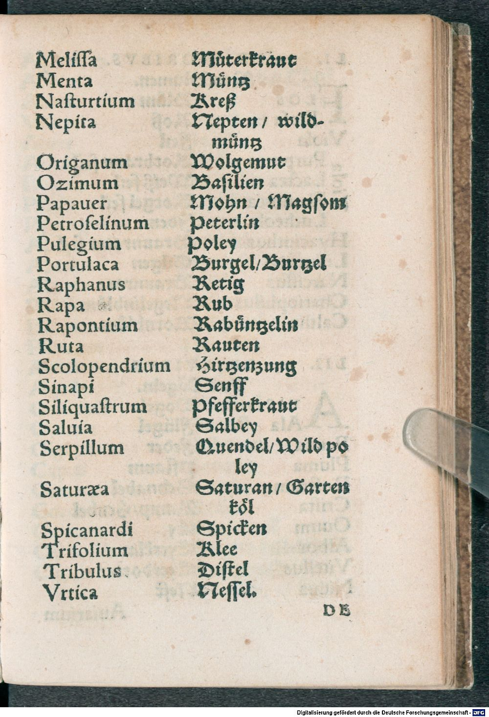 Image