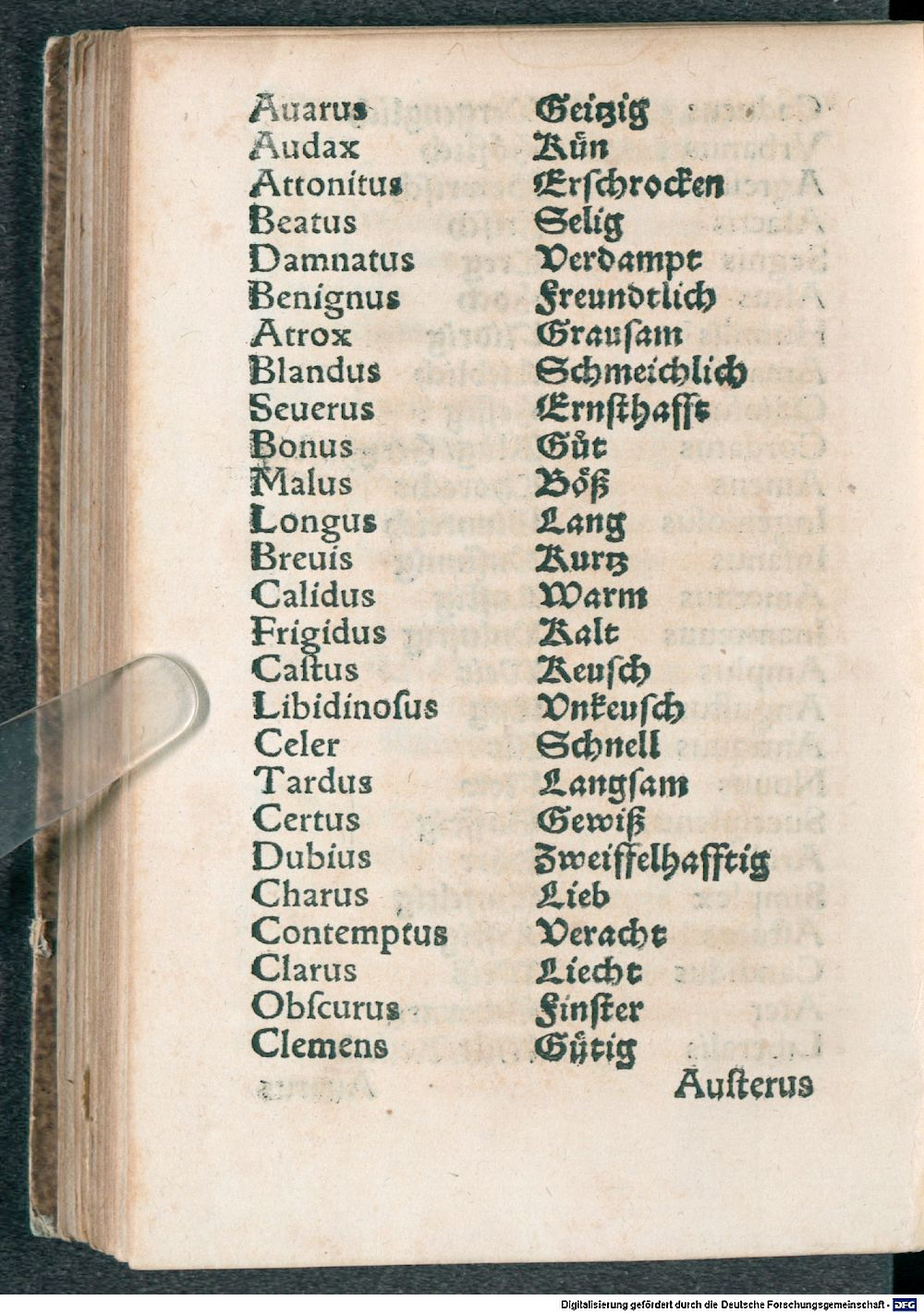 Image