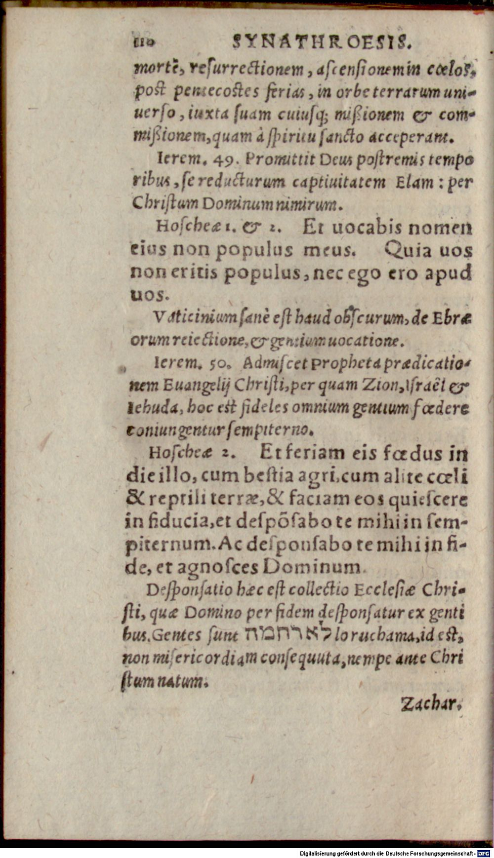 Image