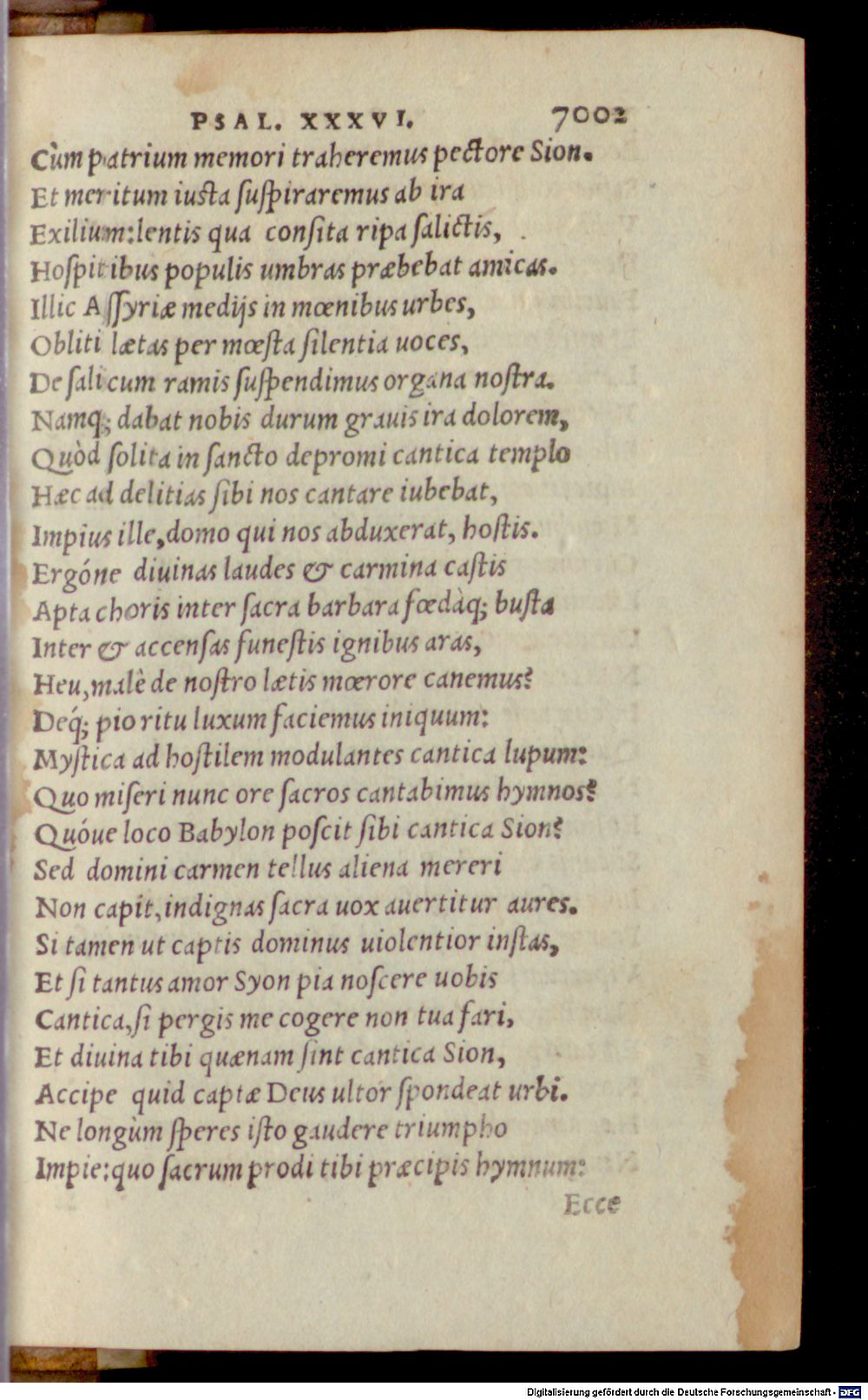 Image