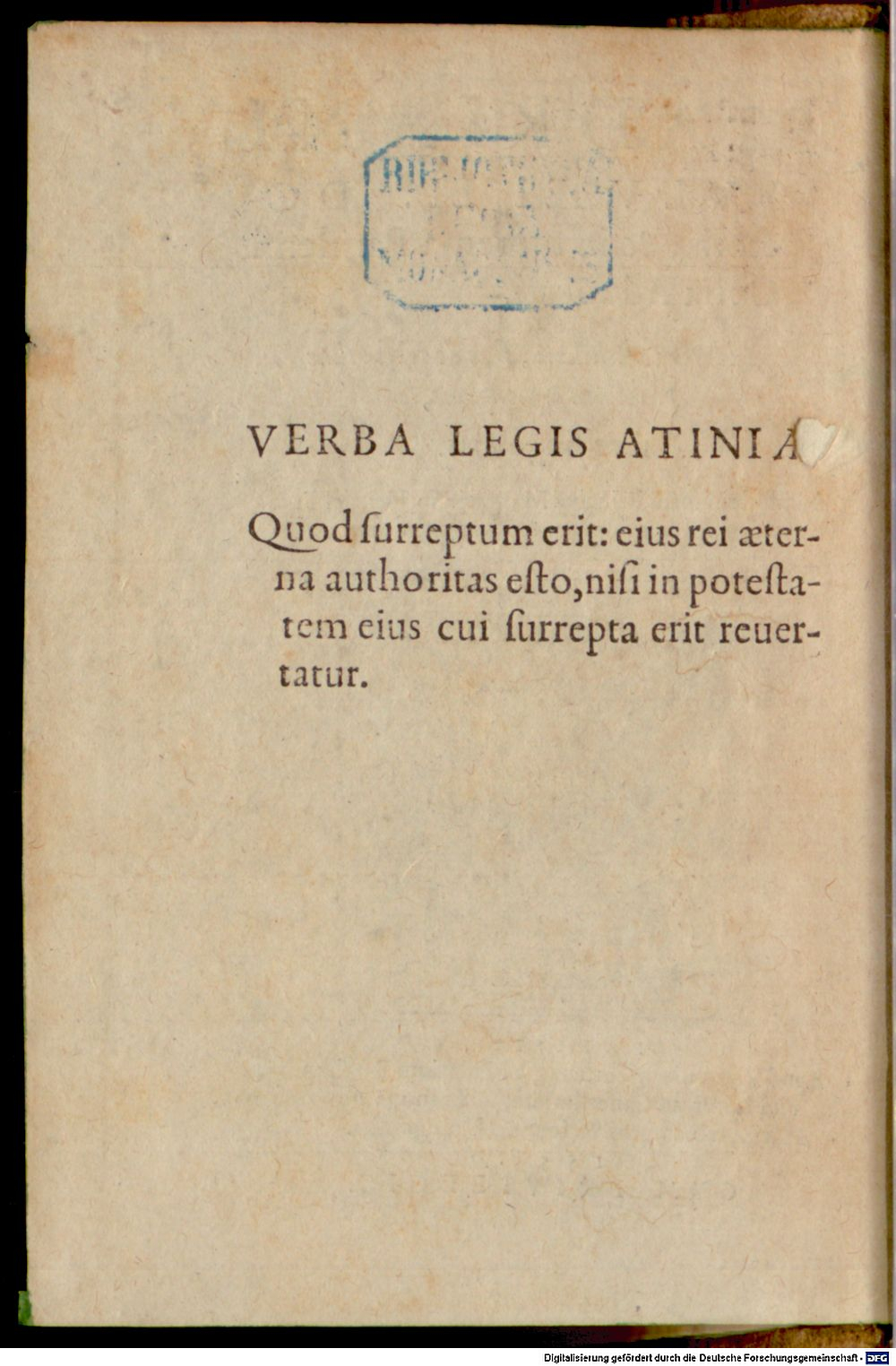 Image