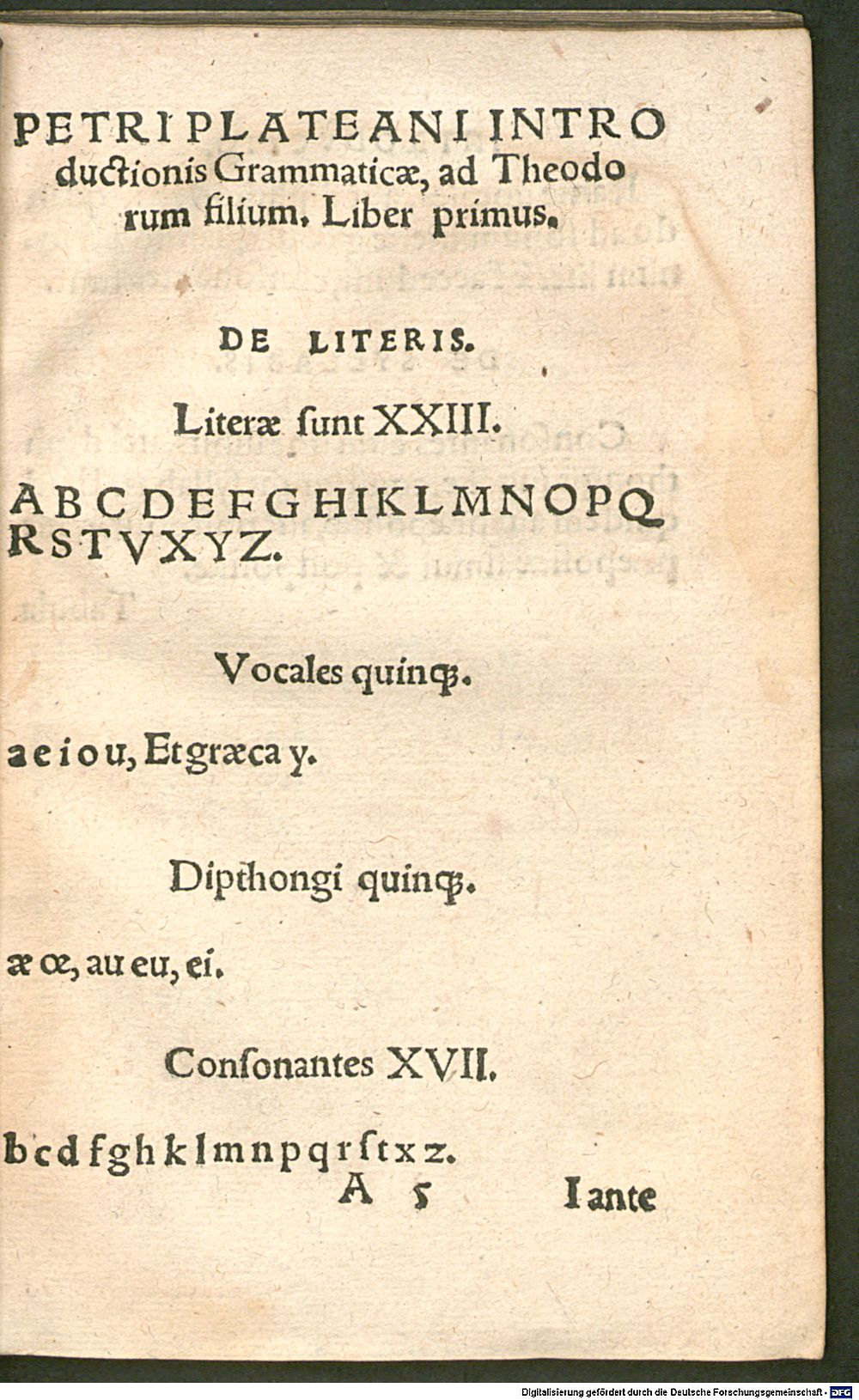 Image