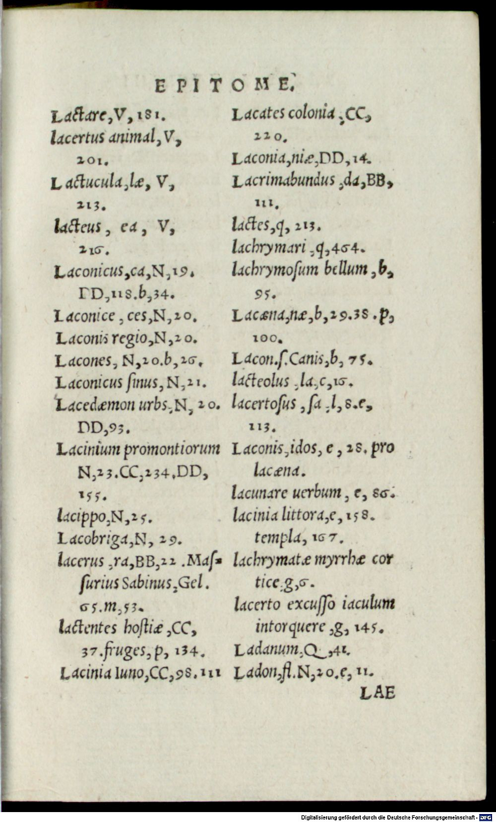 Image