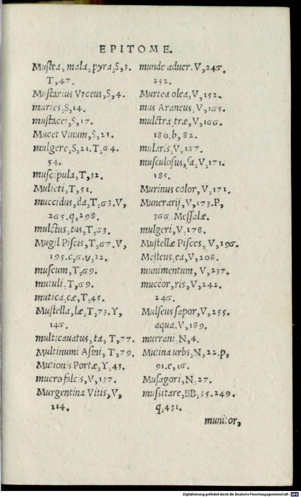Image