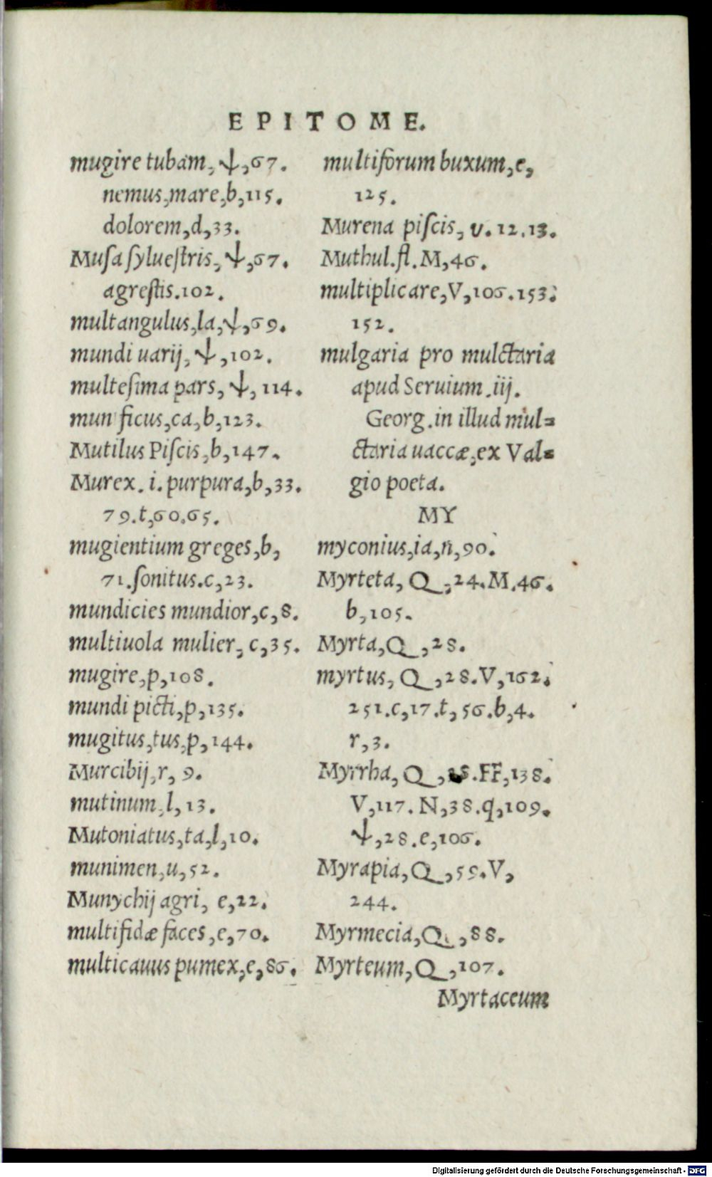 Image