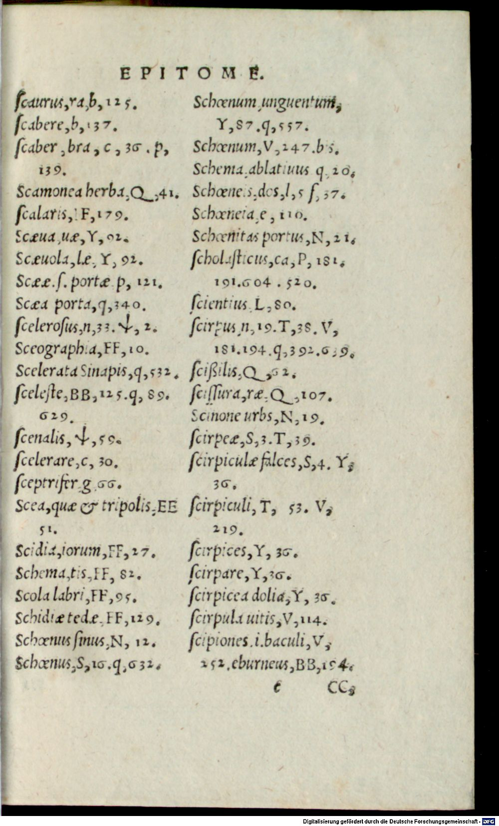 Image