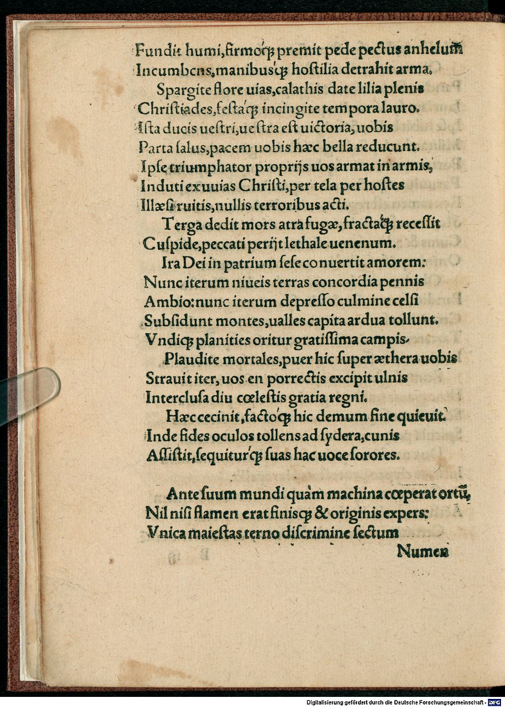Image