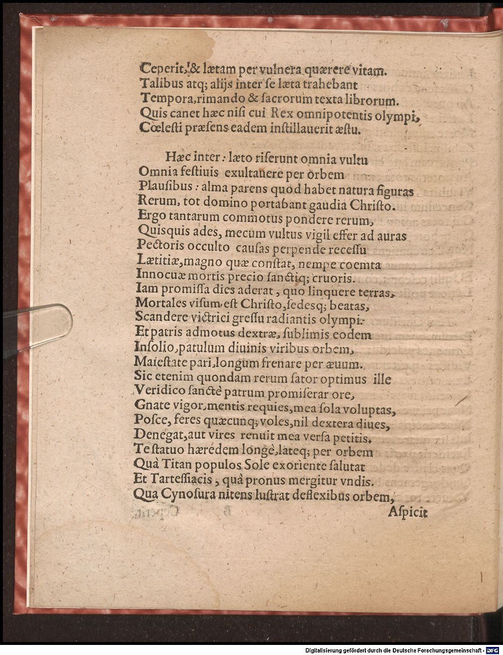 Image