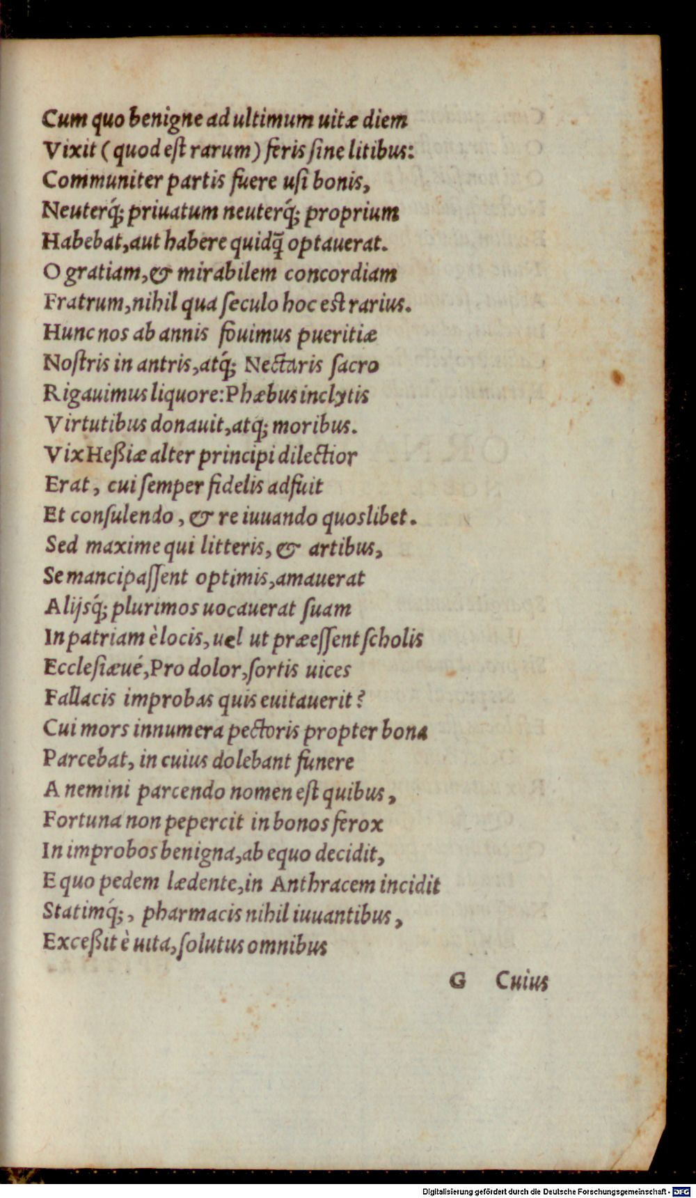 Image