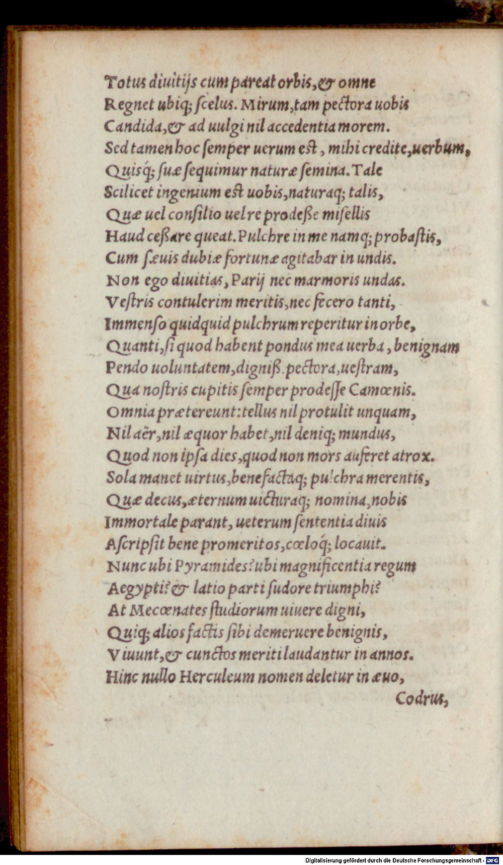 Image
