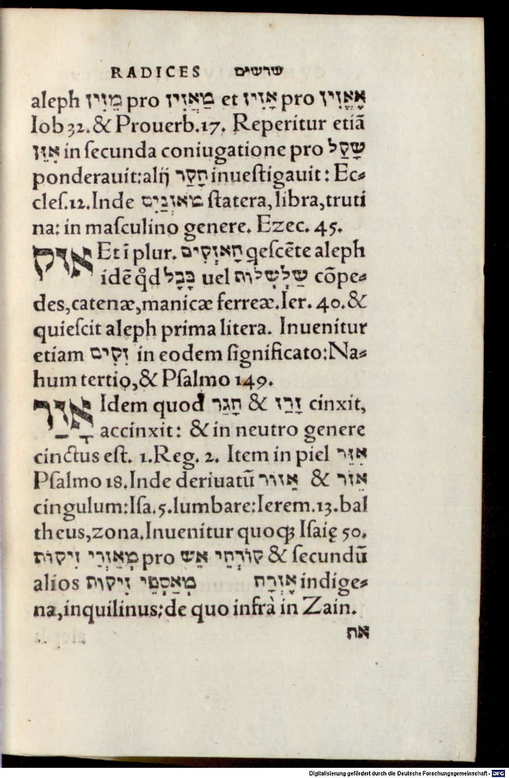 Image