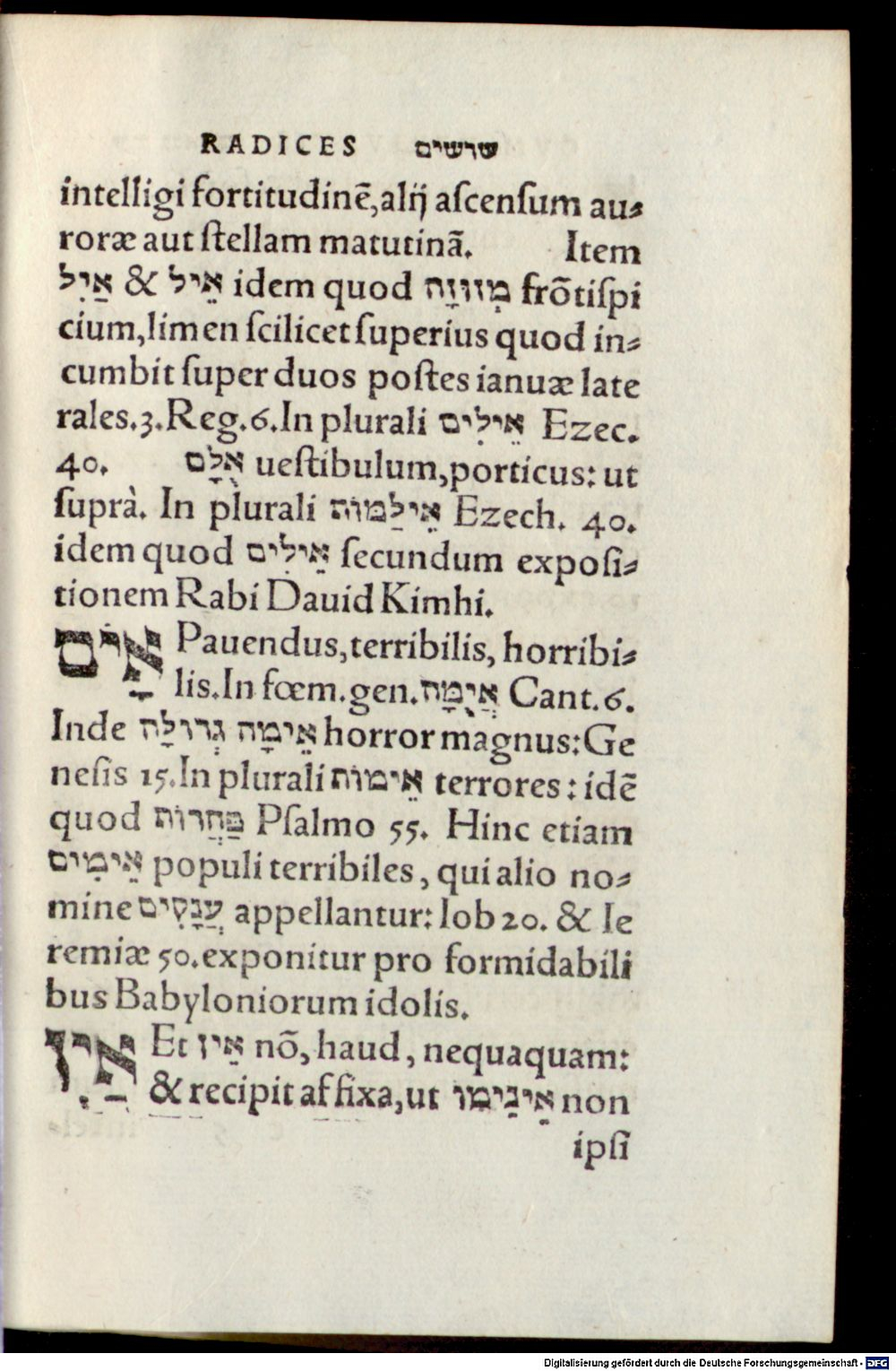 Image