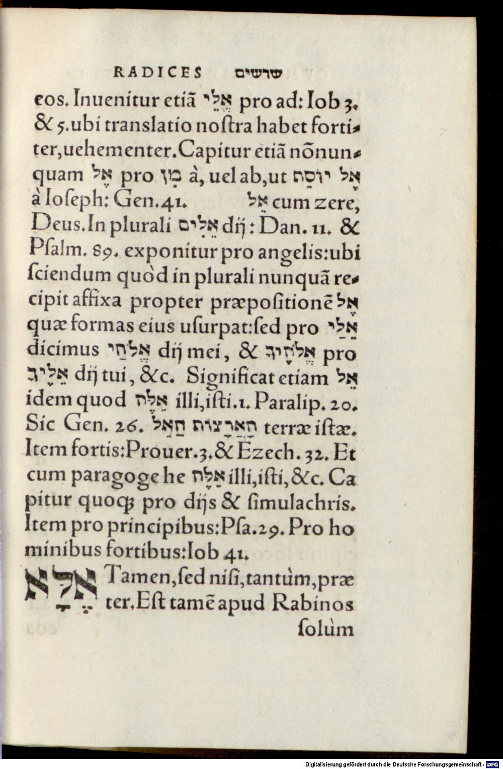 Image