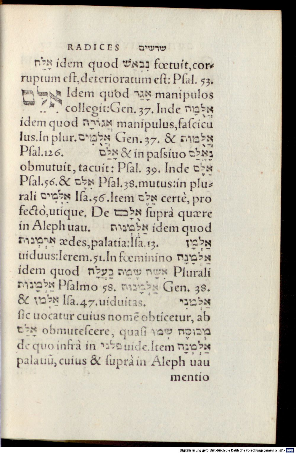 Image