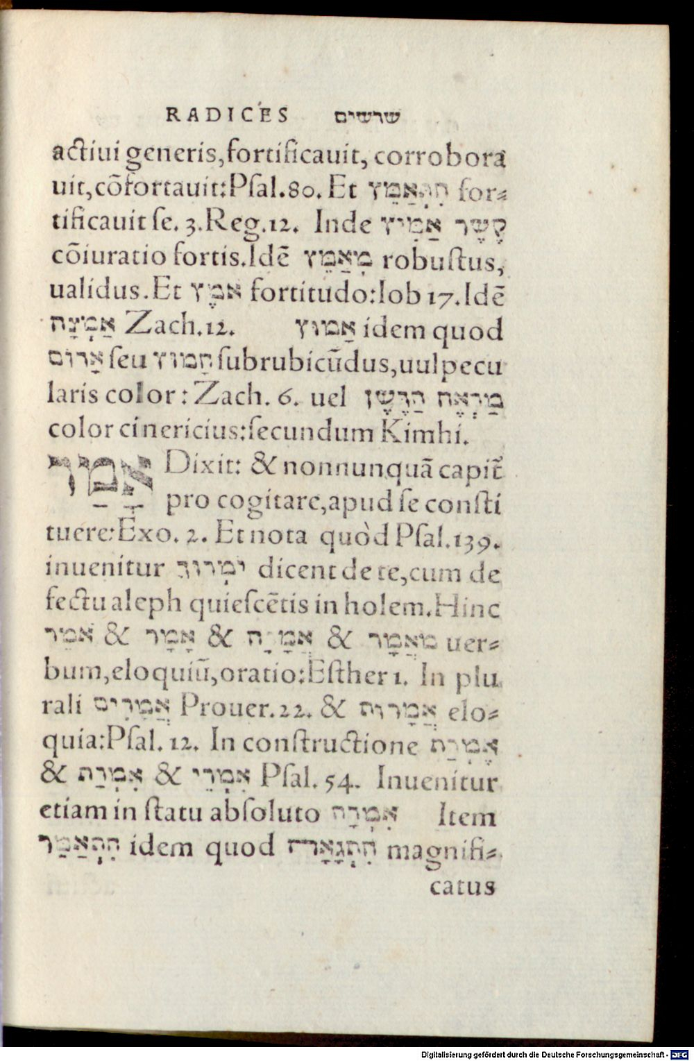 Image