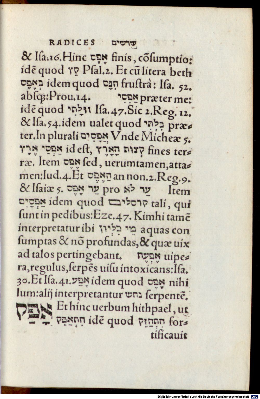 Image