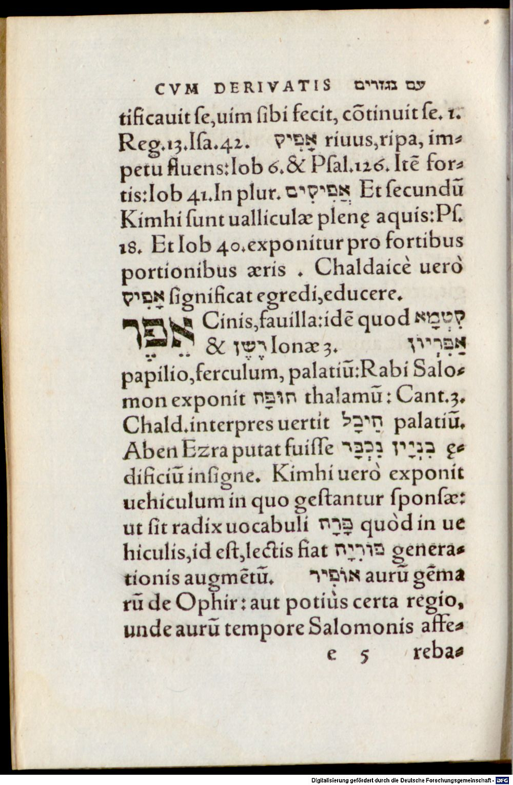 Image