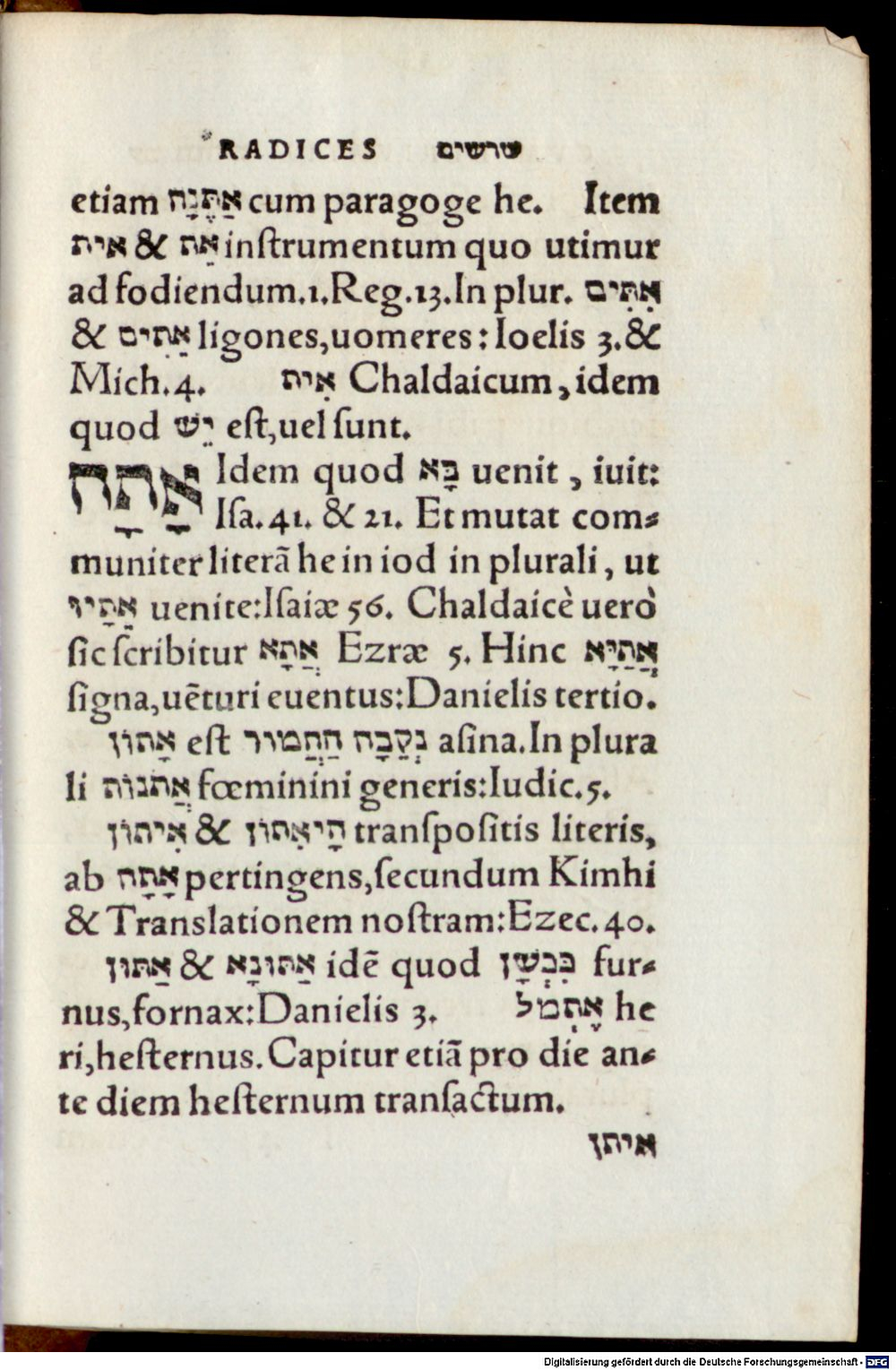 Image