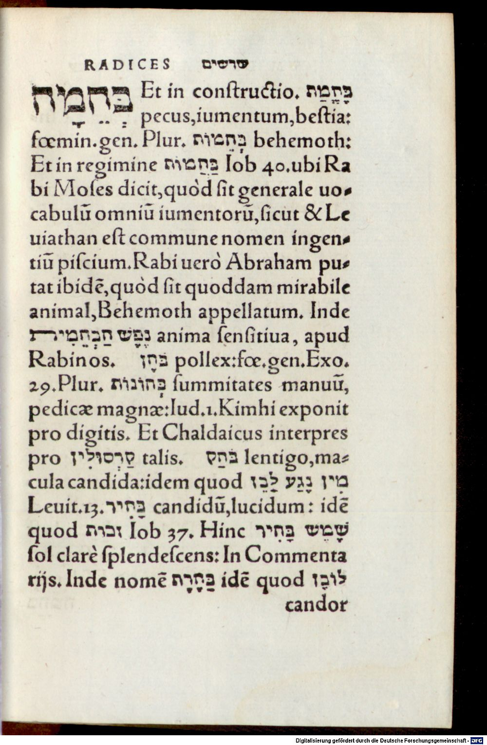 Image