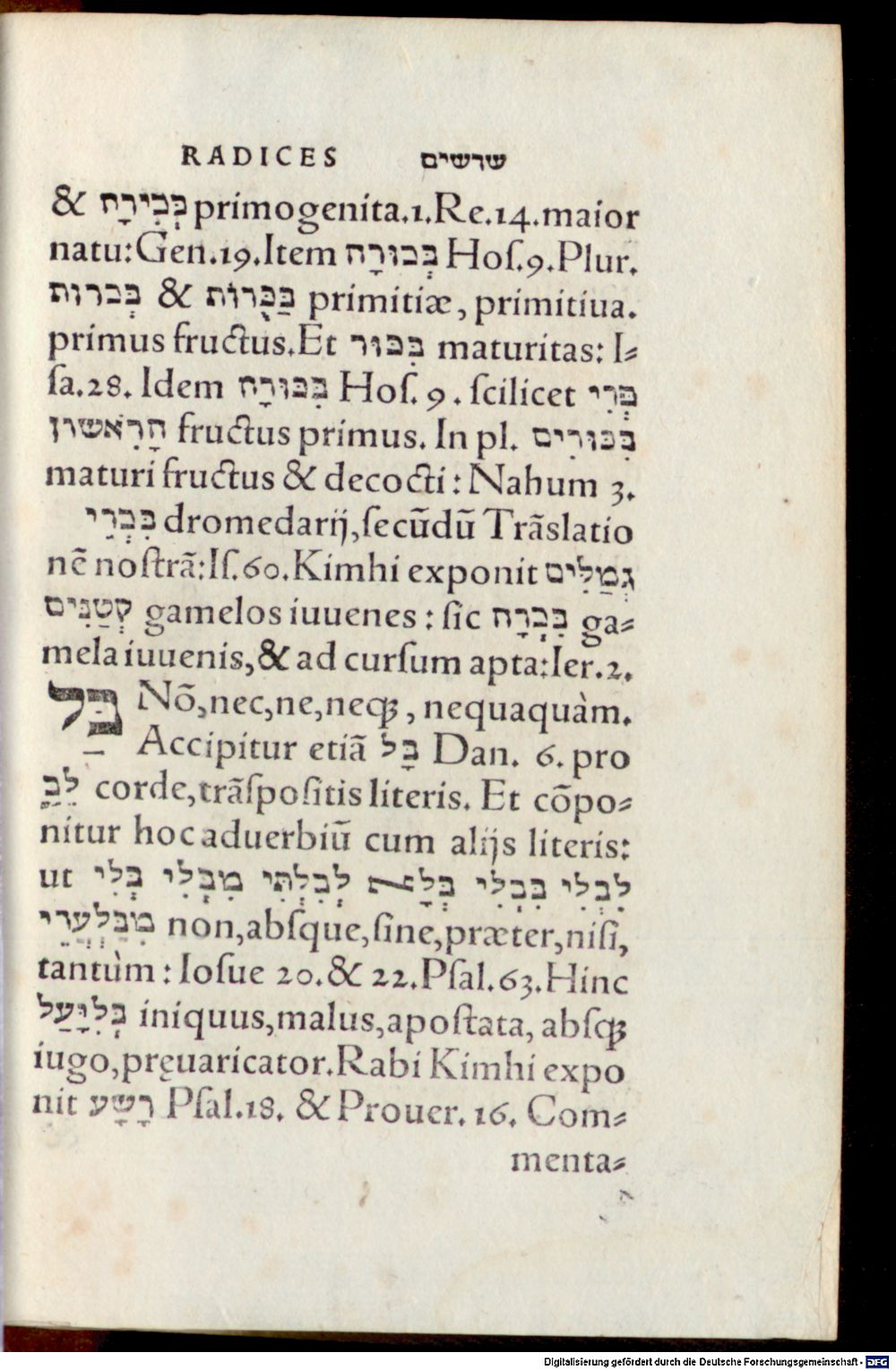 Image