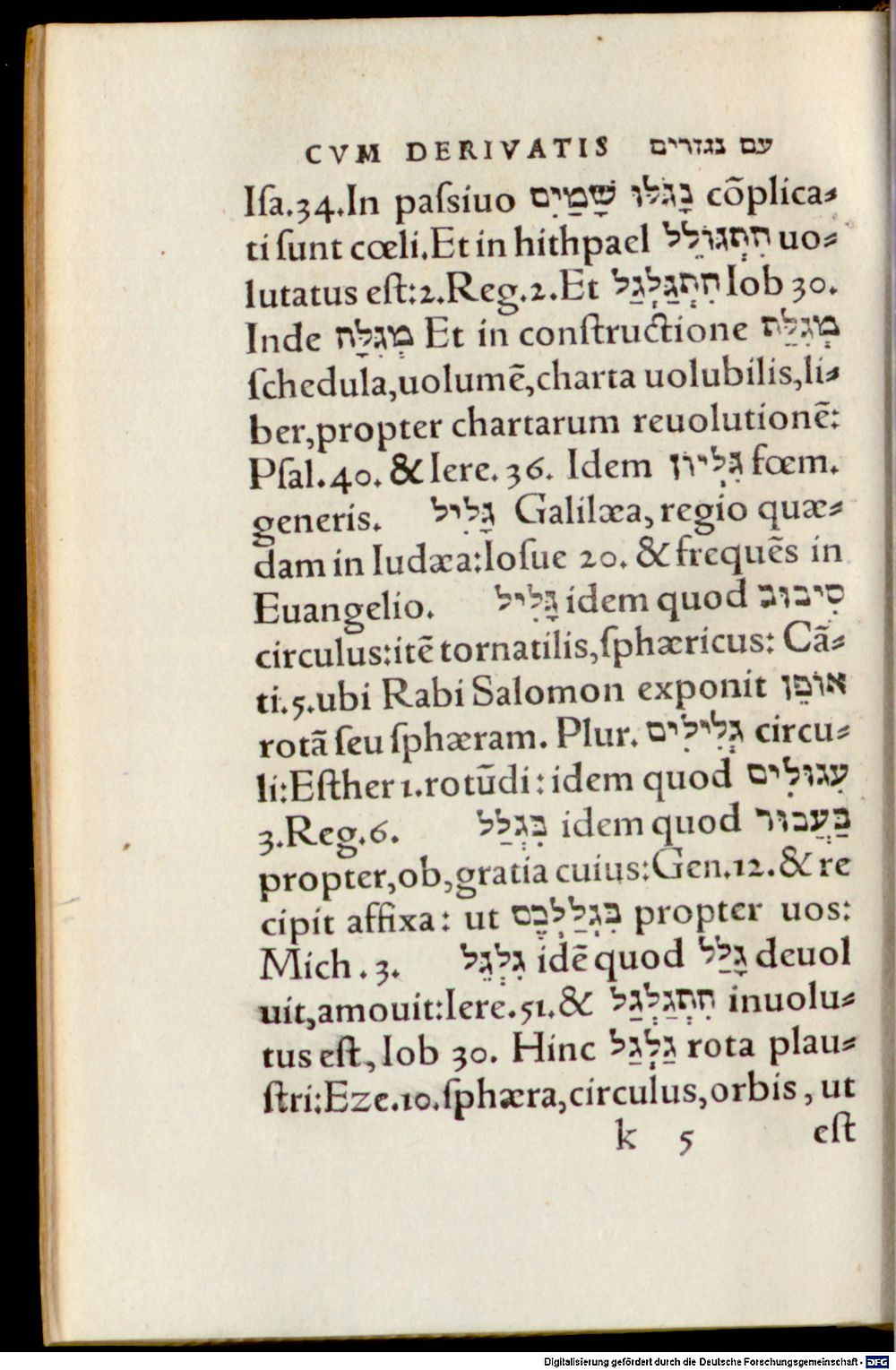 Image