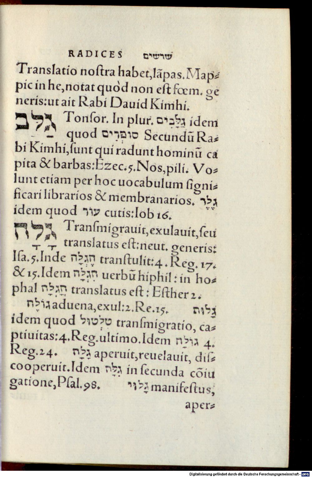 Image