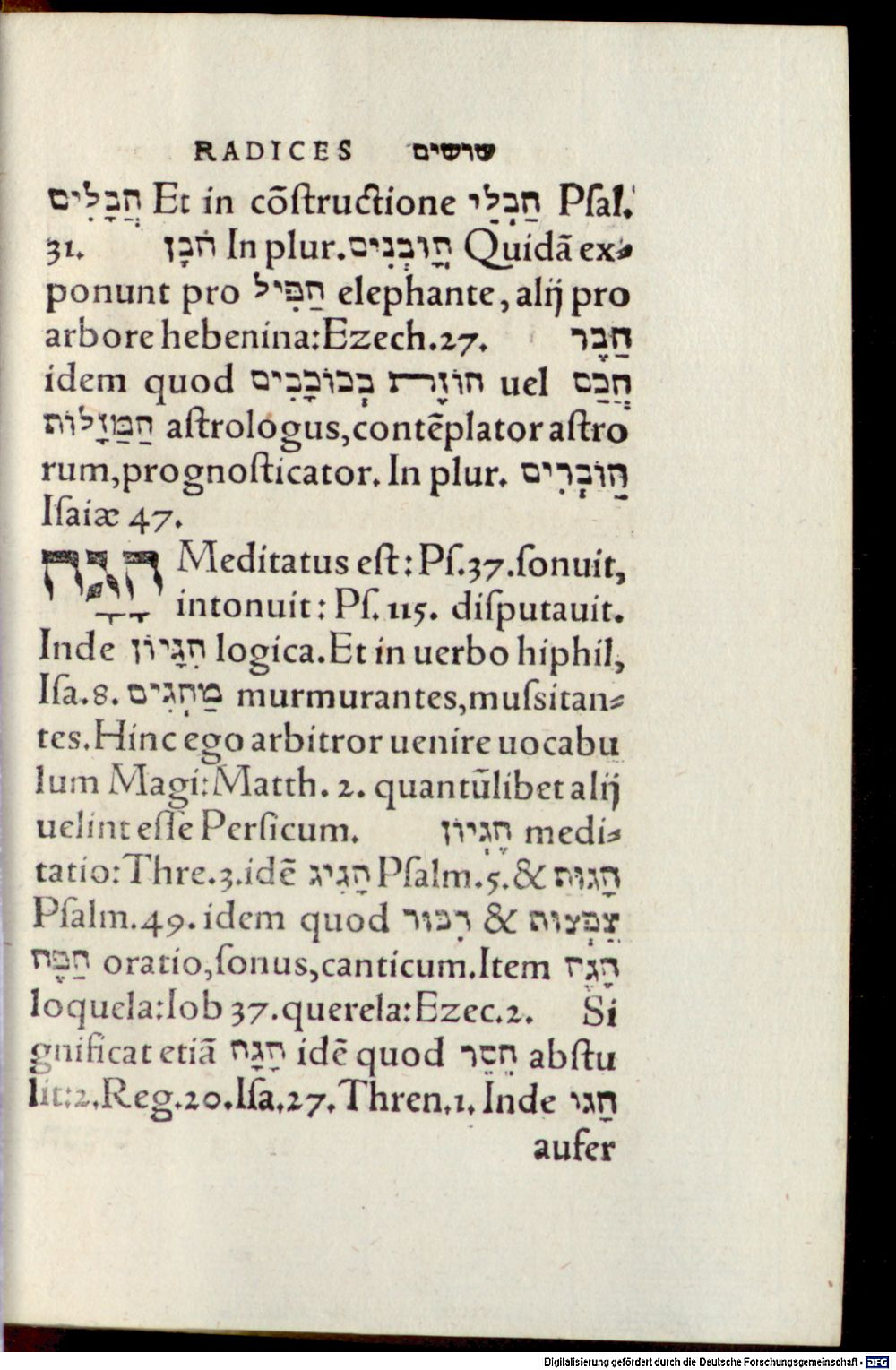 Image
