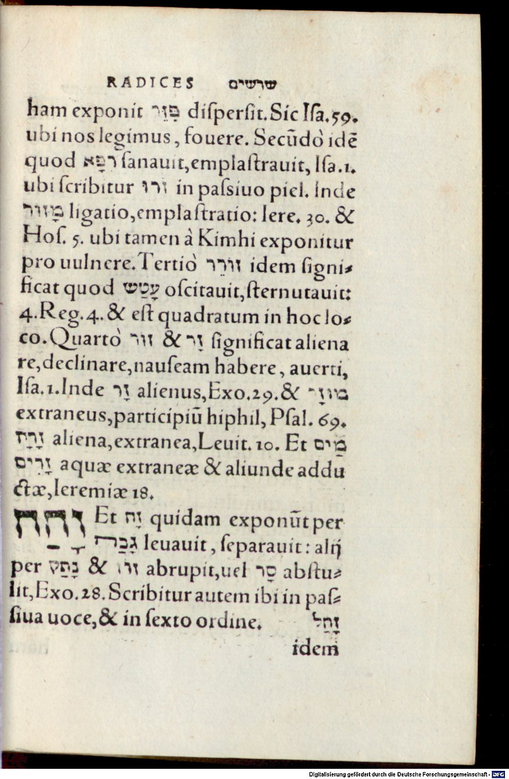 Image