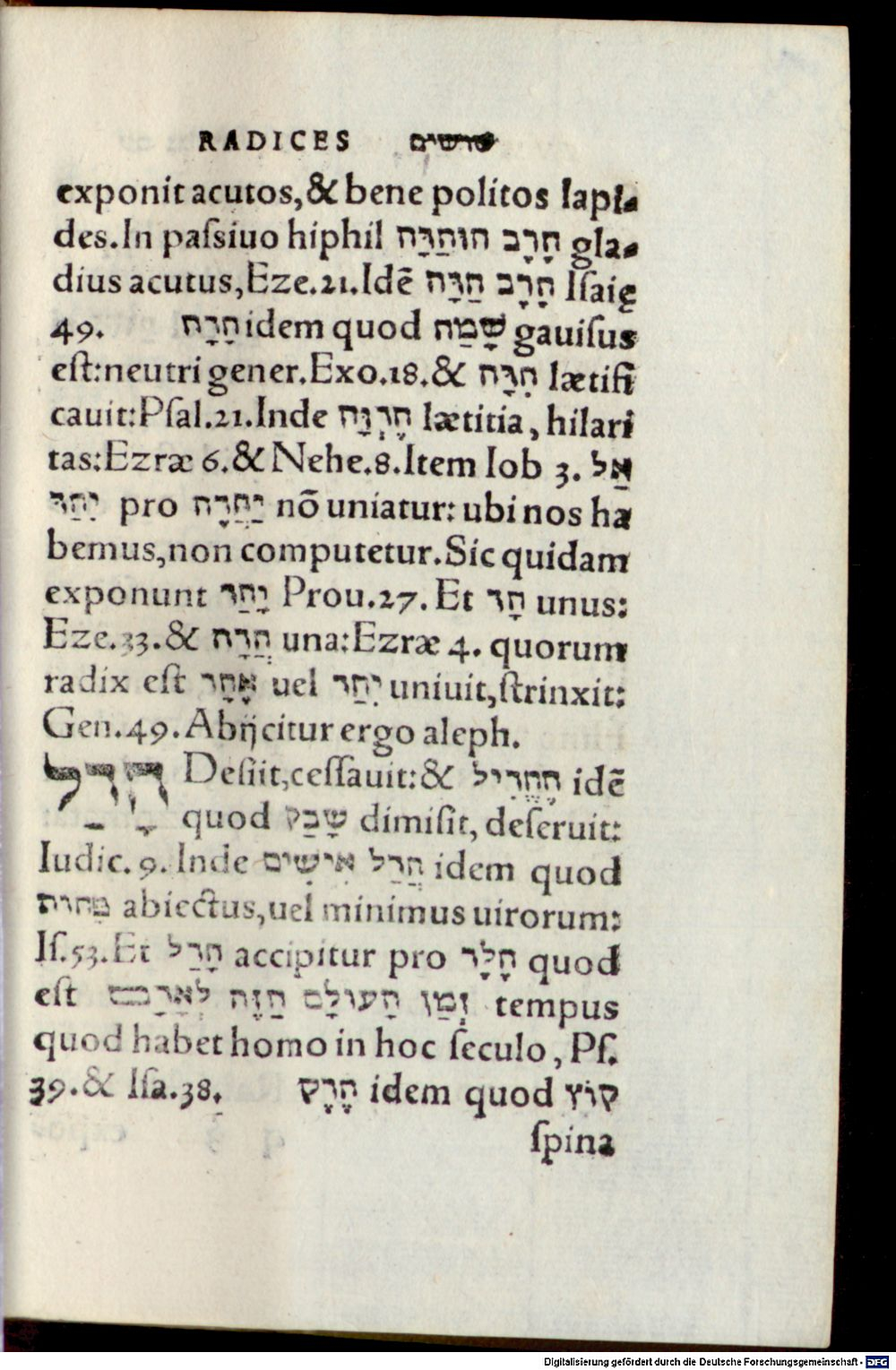 Image