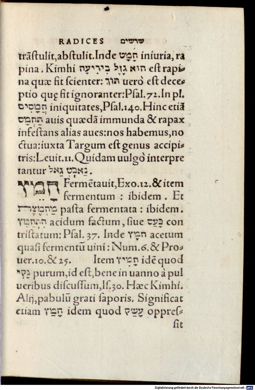 Image