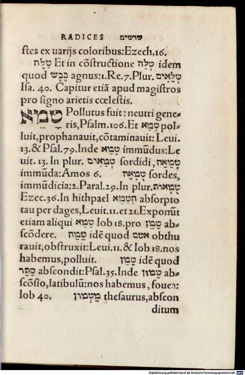 Image