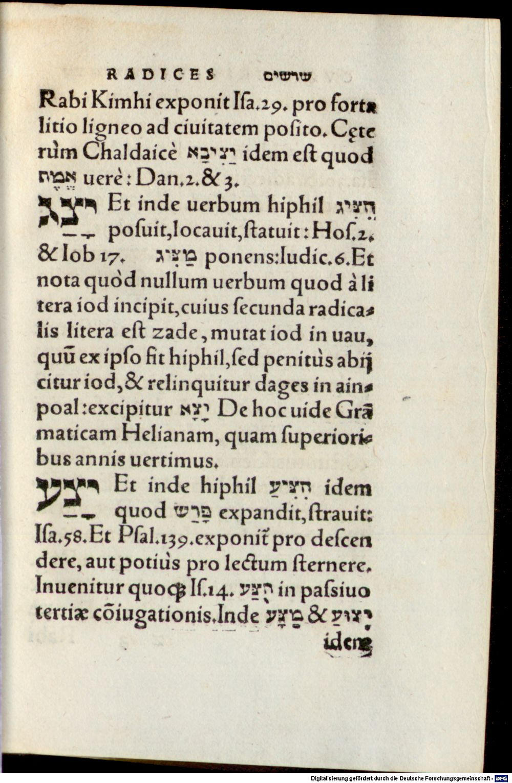 Image