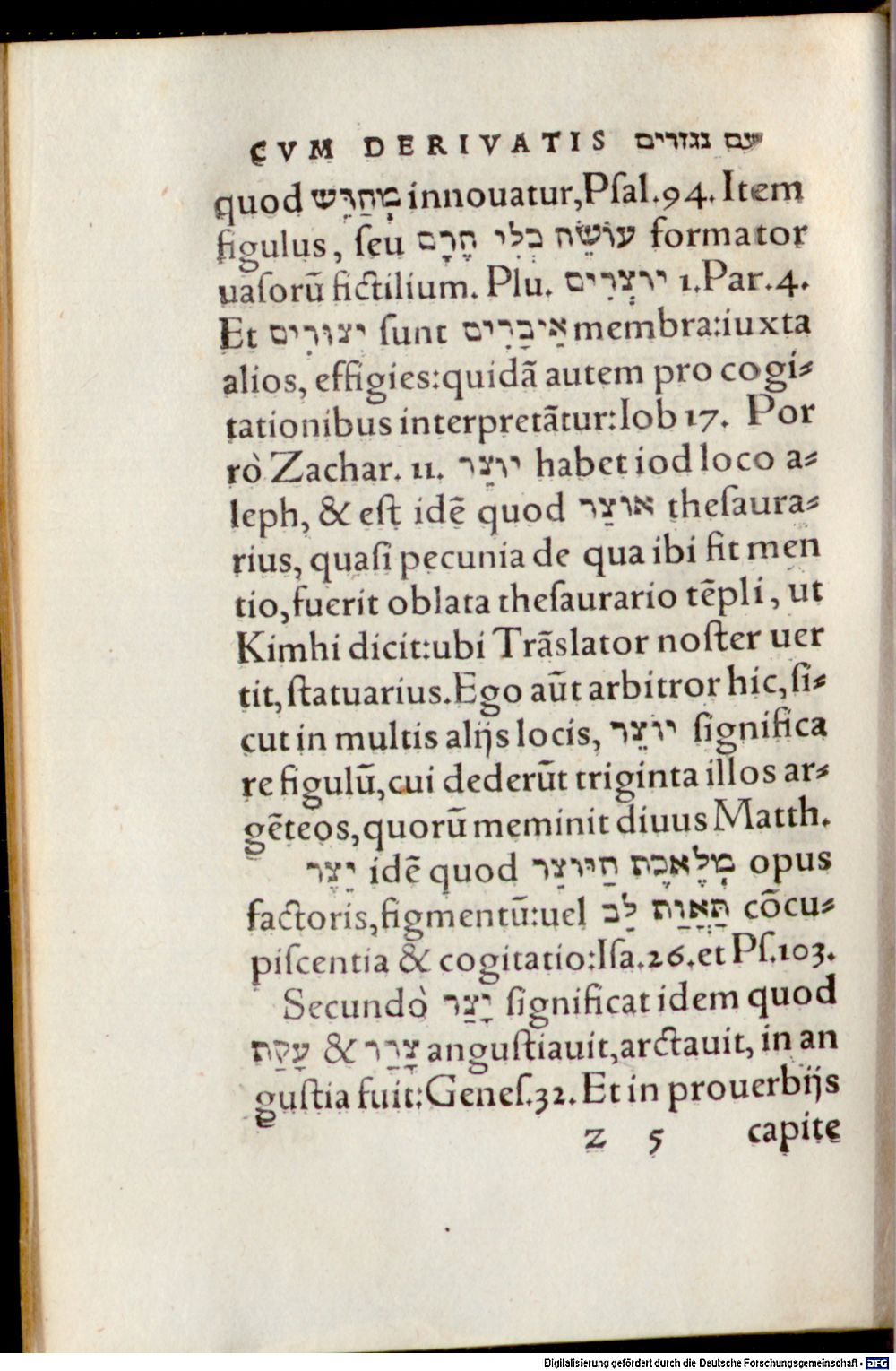 Image