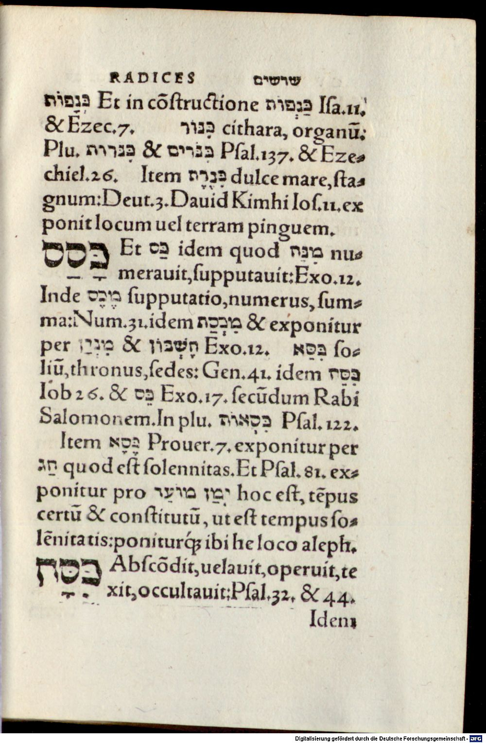 Image