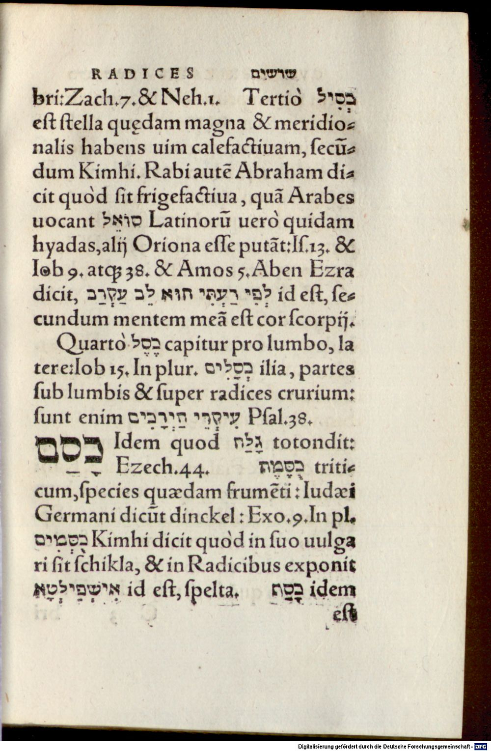 Image