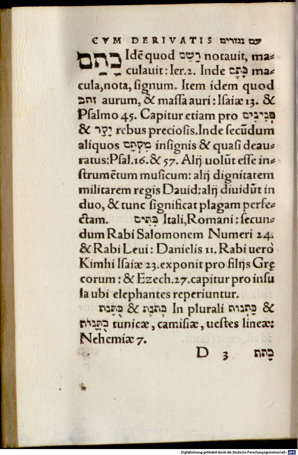 Image