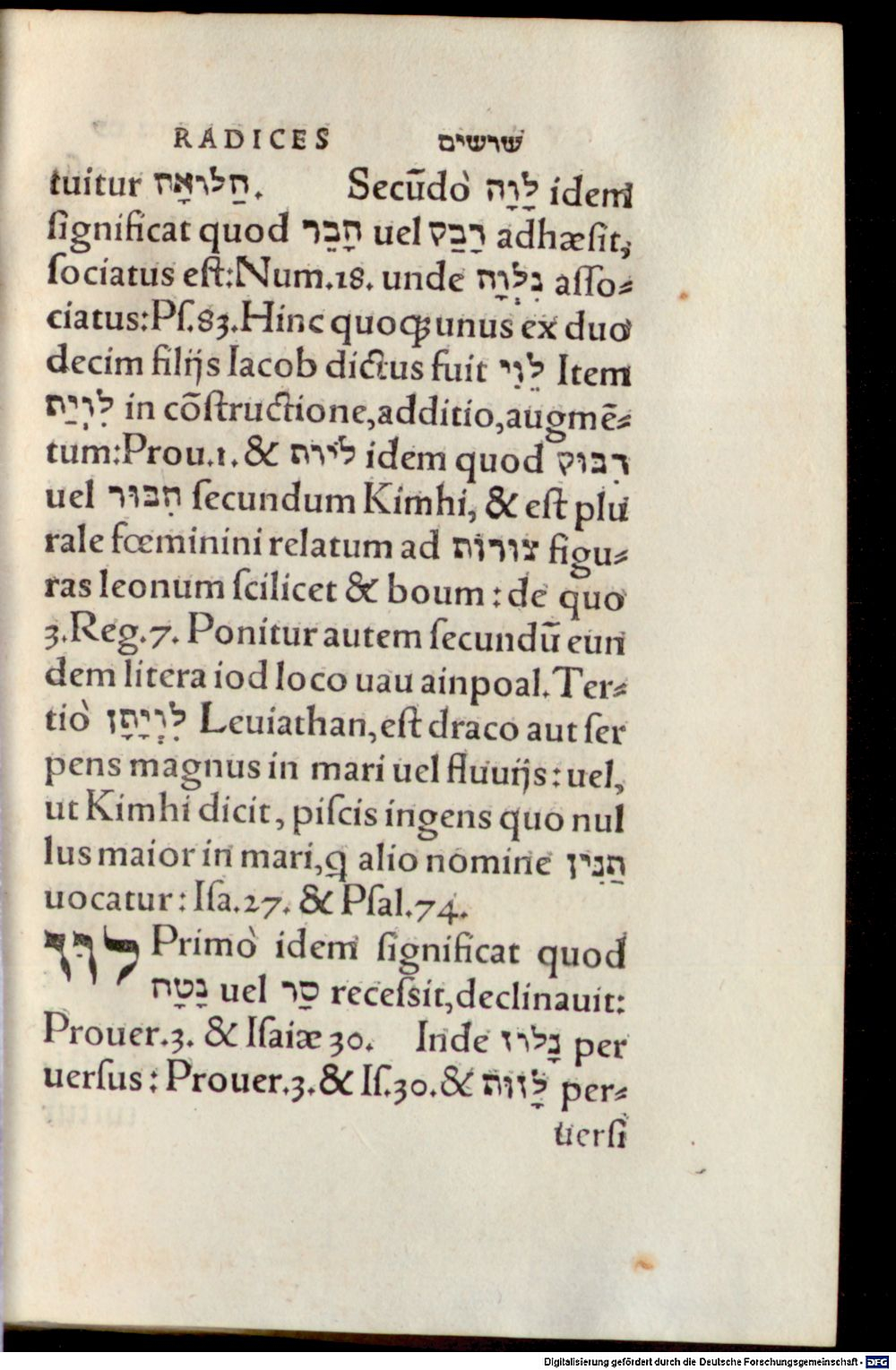 Image