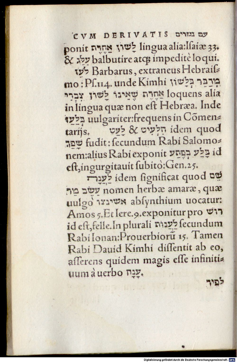 Image
